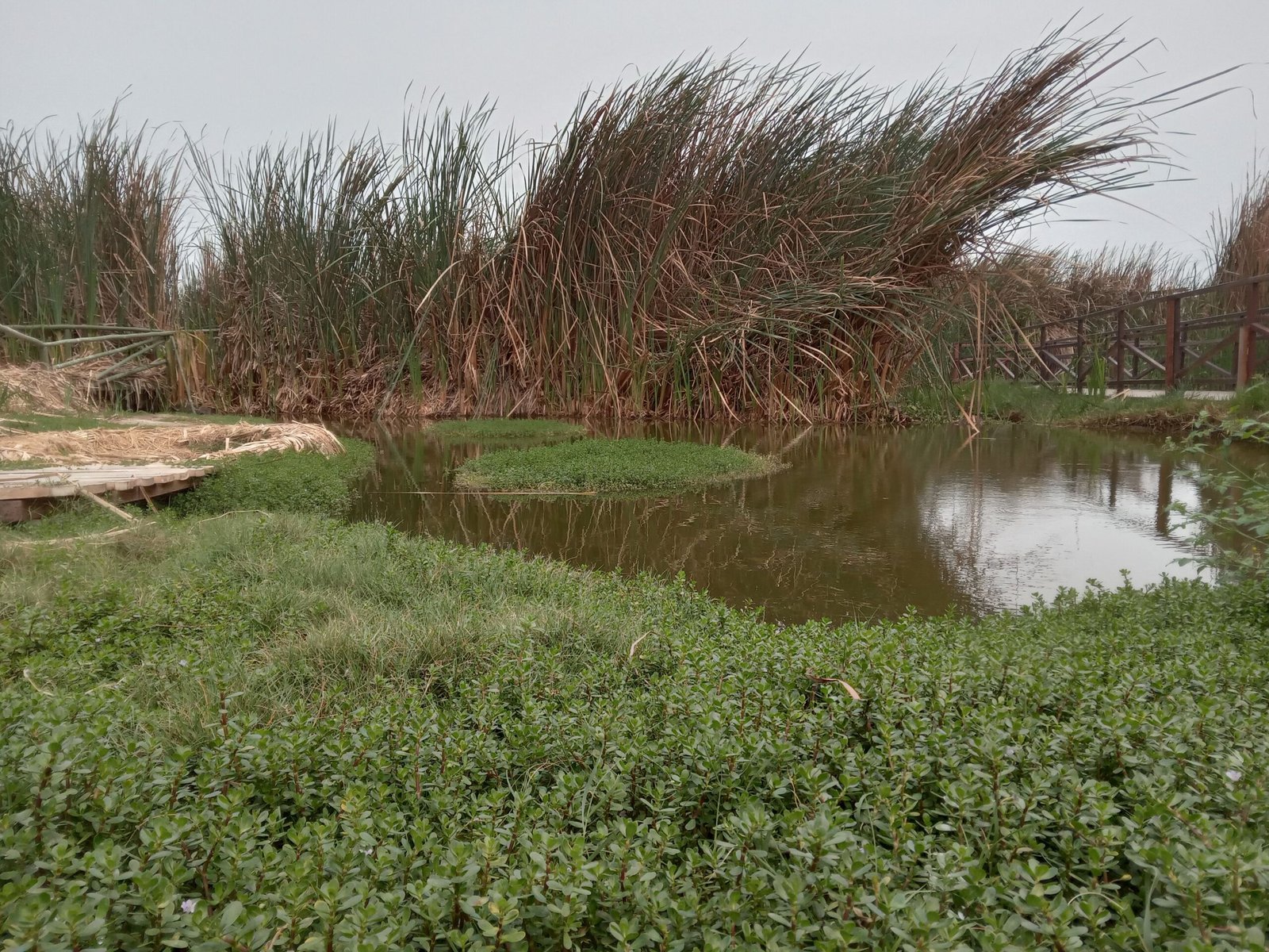 The Hidden Costs and the Payoff (image credits: wikimedia)