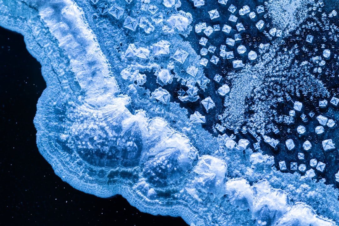 Methane-Eating Microbes and Ancient Carbon (image credits: unsplash)
