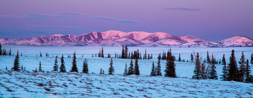 Preservation Power of Frozen Environments (image credits: flickr)