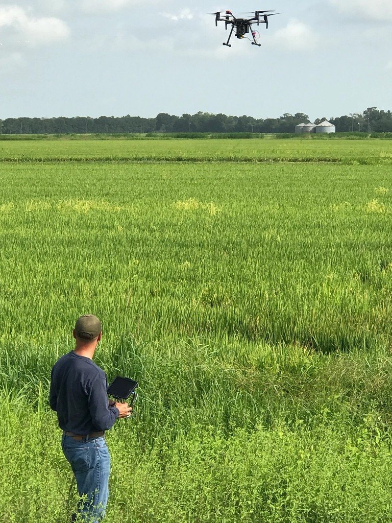 The Future Landscape (image credits: rawpixel)