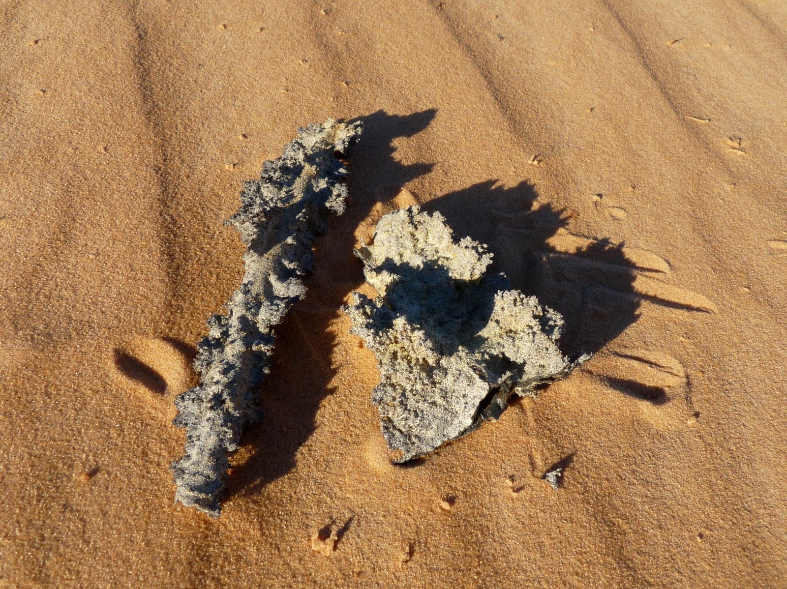 Where Lightning Leaves Its Underground Signature (image credits: wikimedia)