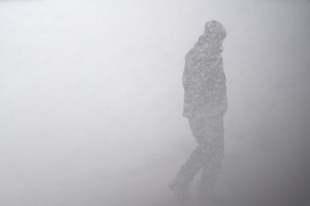 Taurus: The Blizzard Survivors (image credits: unsplash)