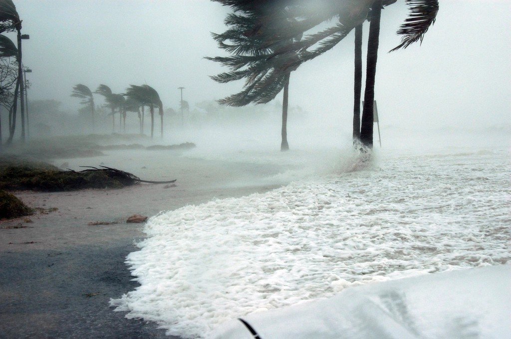 Libra: Hurricane Diplomats (image credits: rawpixel)