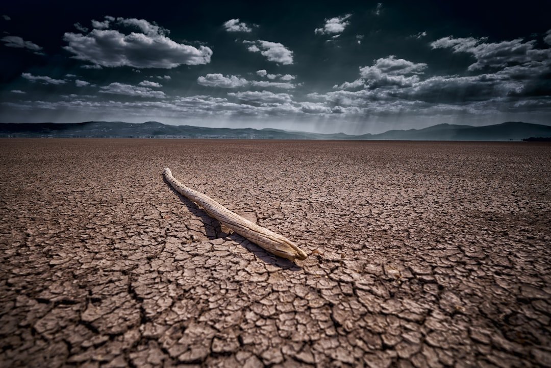 Sagittarius: Drought Philosophers (image credits: unsplash)