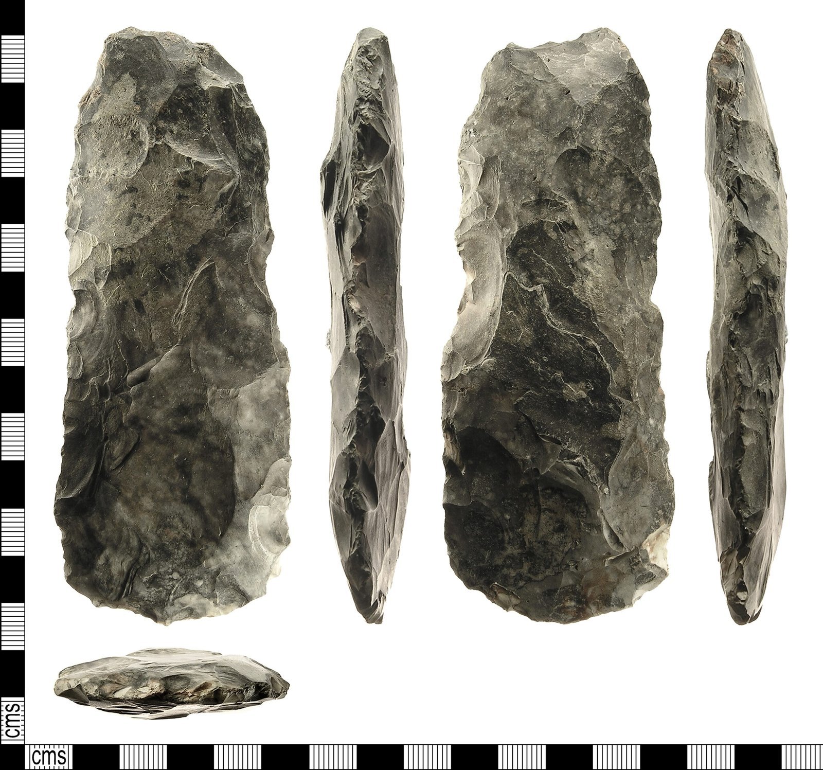 Preservation Challenges and Race Against Time (image credits: wikimedia)