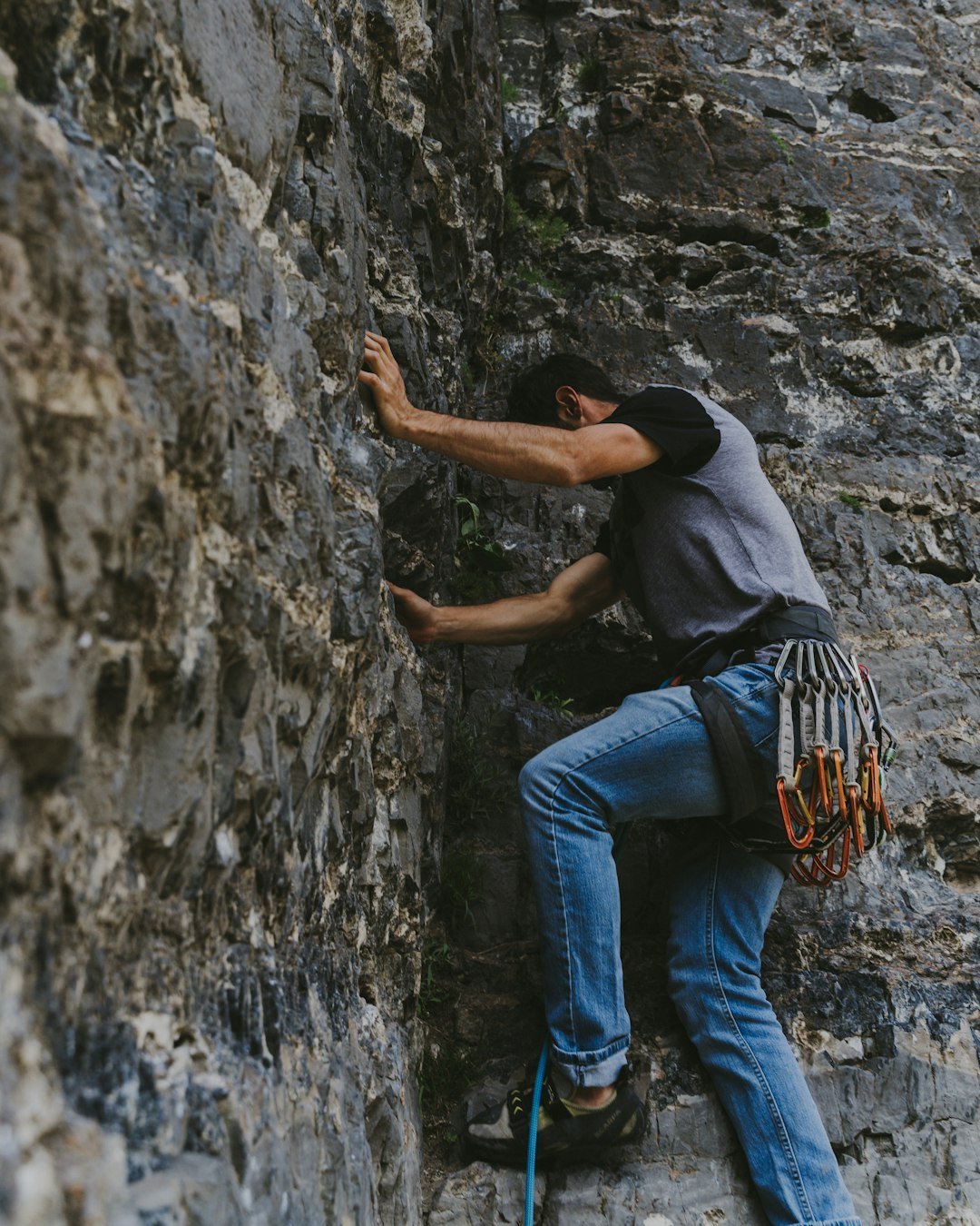 How You Can Help (image credits: unsplash)