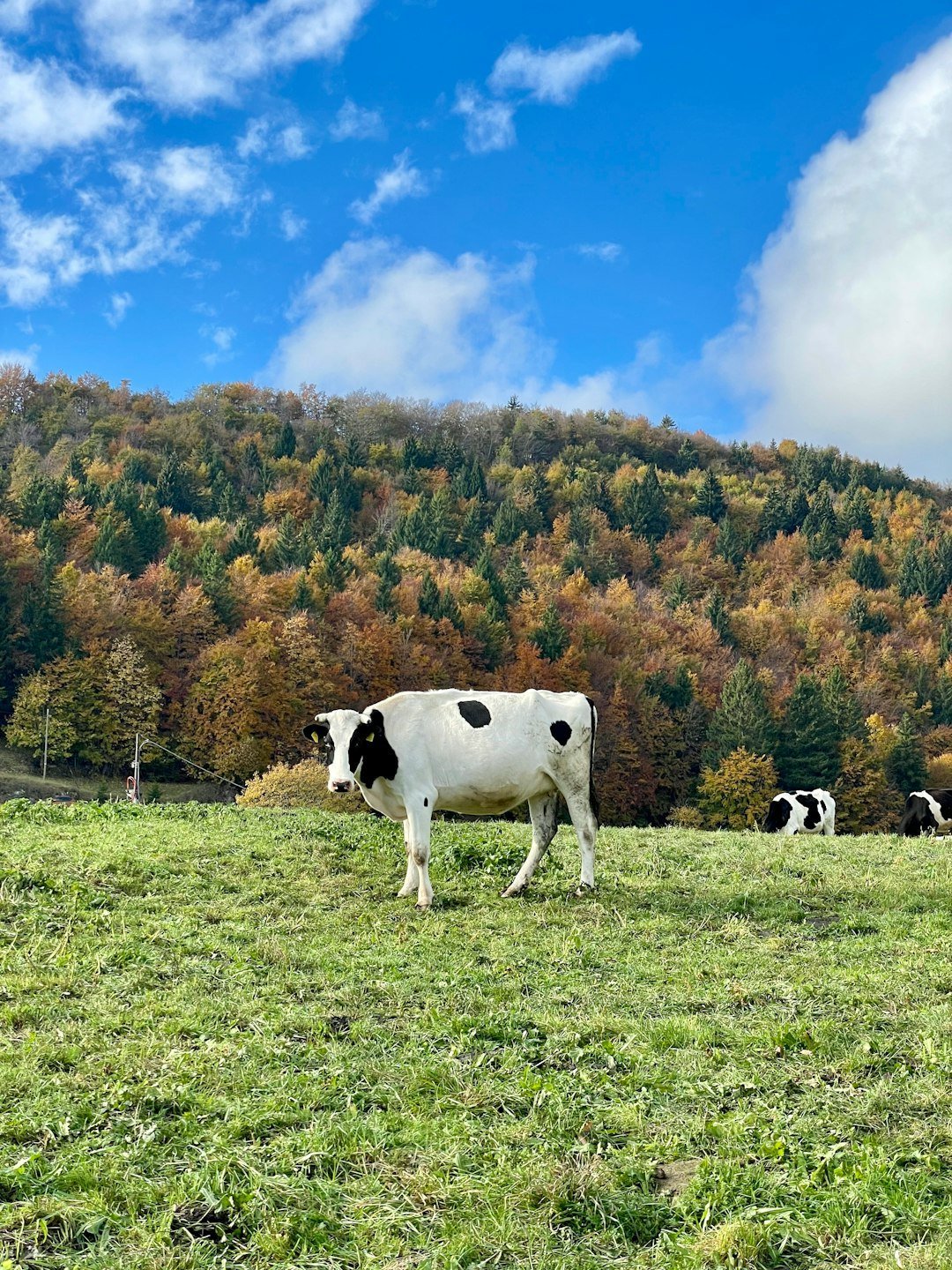 Call to Action (image credits: unsplash)