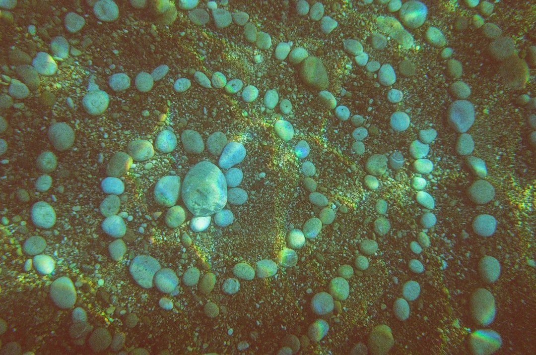 A Discovery That Stunned Scientists (image credits: unsplash)