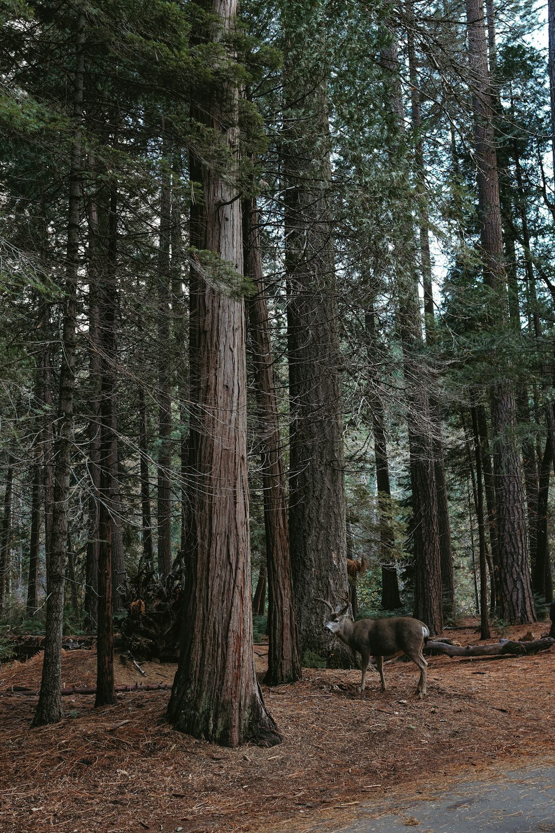 The Future Landscape (image credits: unsplash)