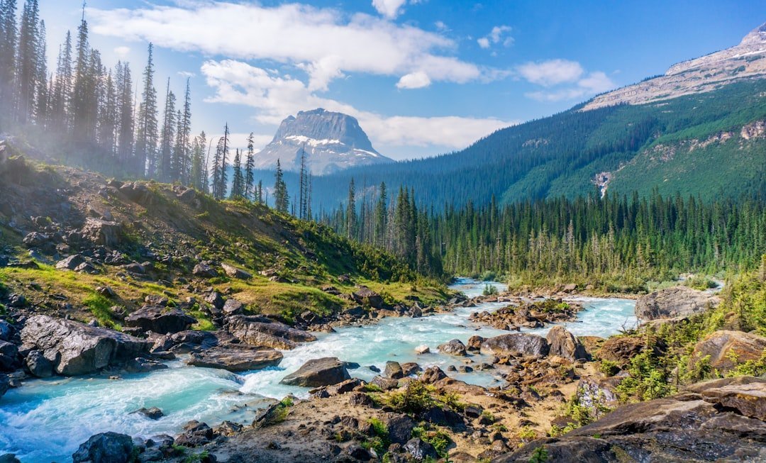 Why It Matters (image credits: unsplash)