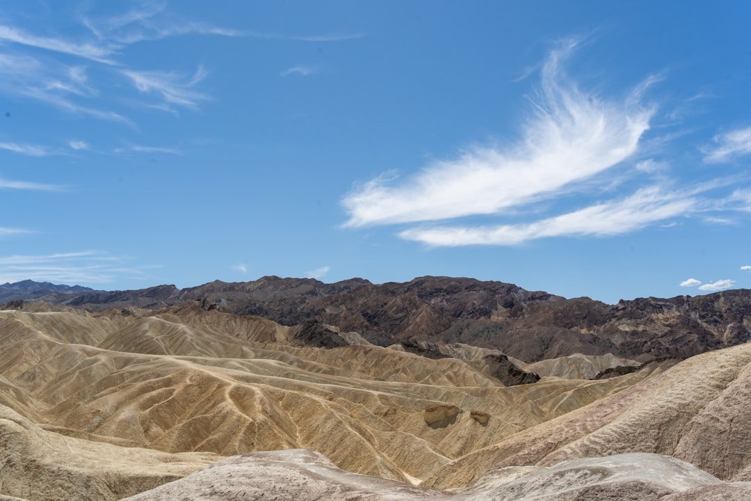 The Future Landscape (image credits: unsplash)