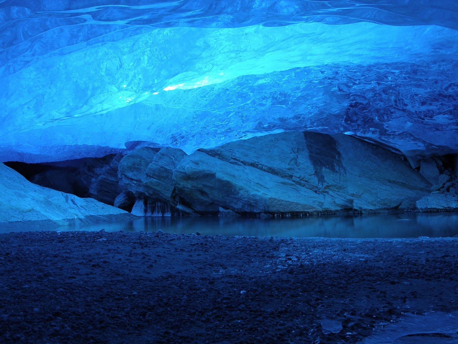 Conclusion: Nature's Electric Blue Masterpiece (image credits: wikimedia)