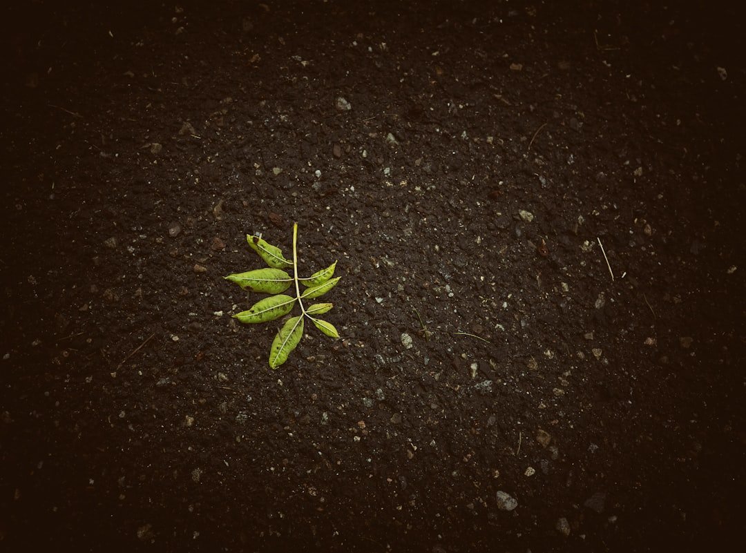 Breaking the Age Barrier (image credits: unsplash)