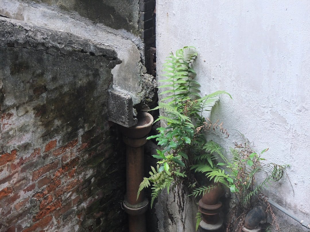 Differences Between Ancient and Modern Plants (image credits: unsplash)