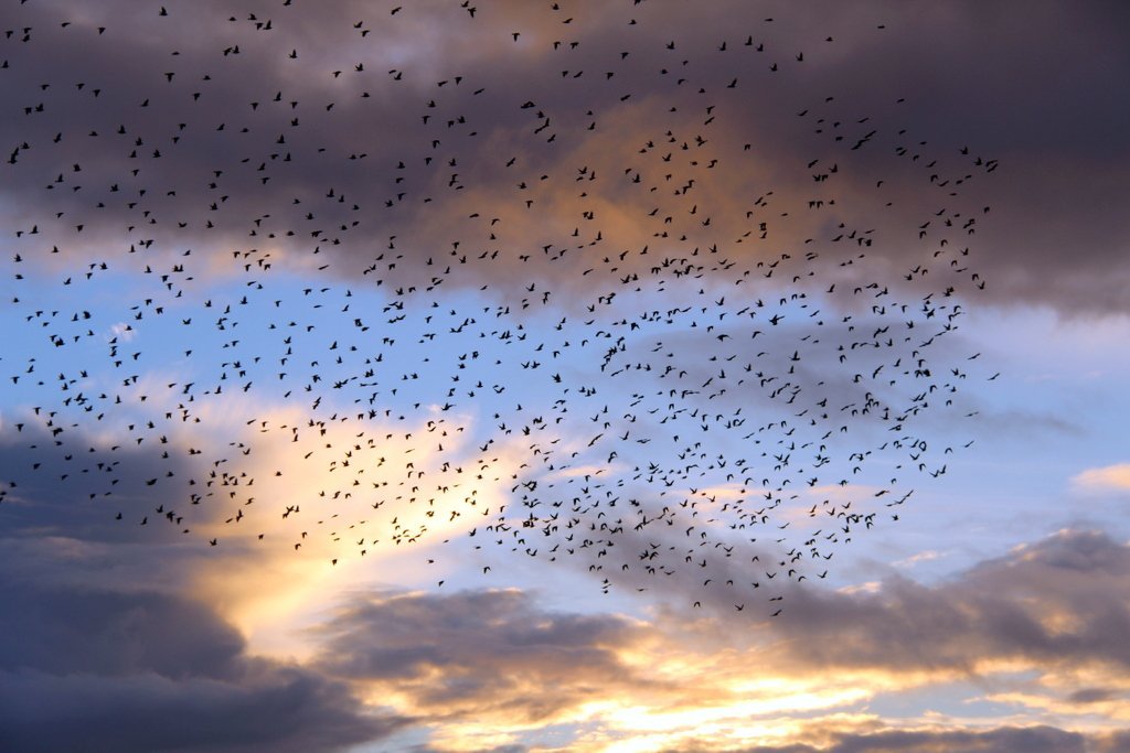 Air: Signals, Networks, and the Power of Social Wind (image credits: wikimedia)