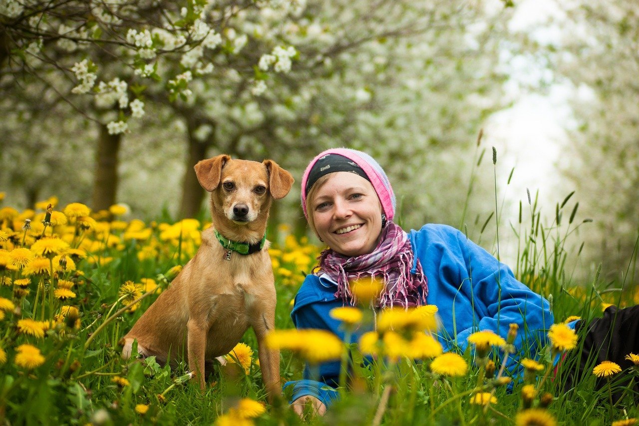 The Neuroscience Behind Human-Animal Empathy (image credits: pixabay)