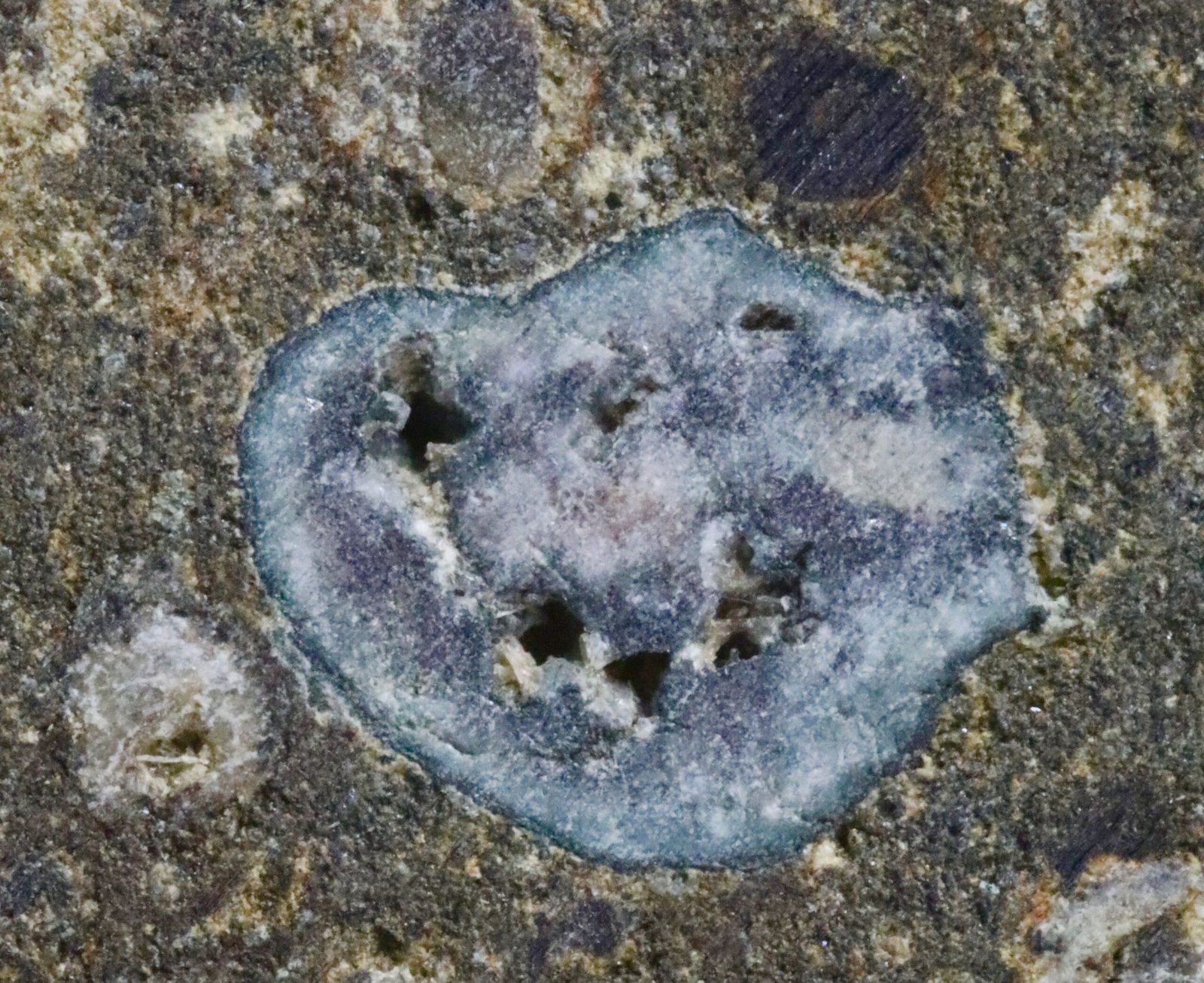 The Meteorite That Contains Building Blocks of Life