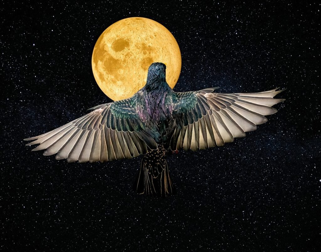 Which Bird Reflects Your Zodiac Personality?