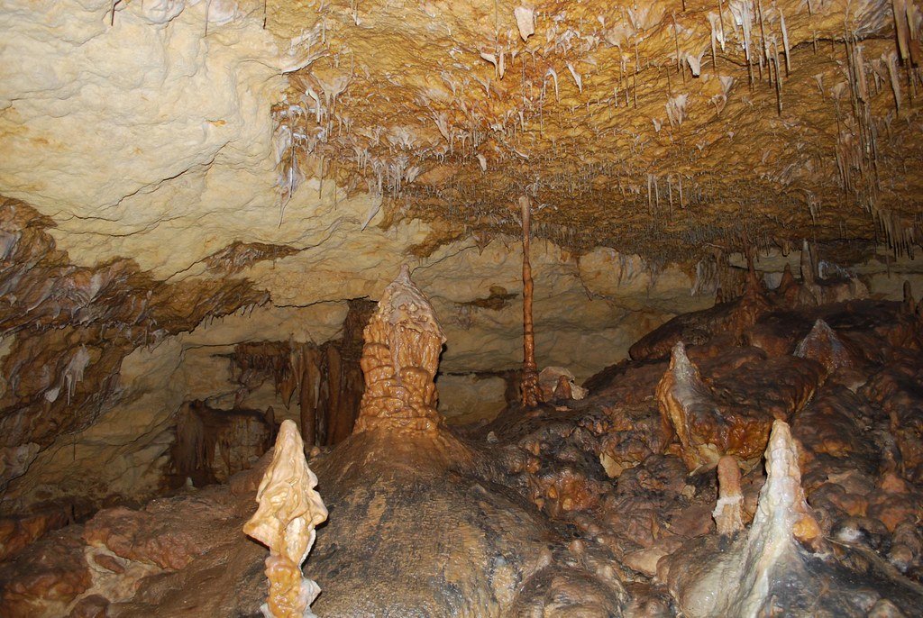 Utah's Fossil Caves Reveal Ancient Sea Life