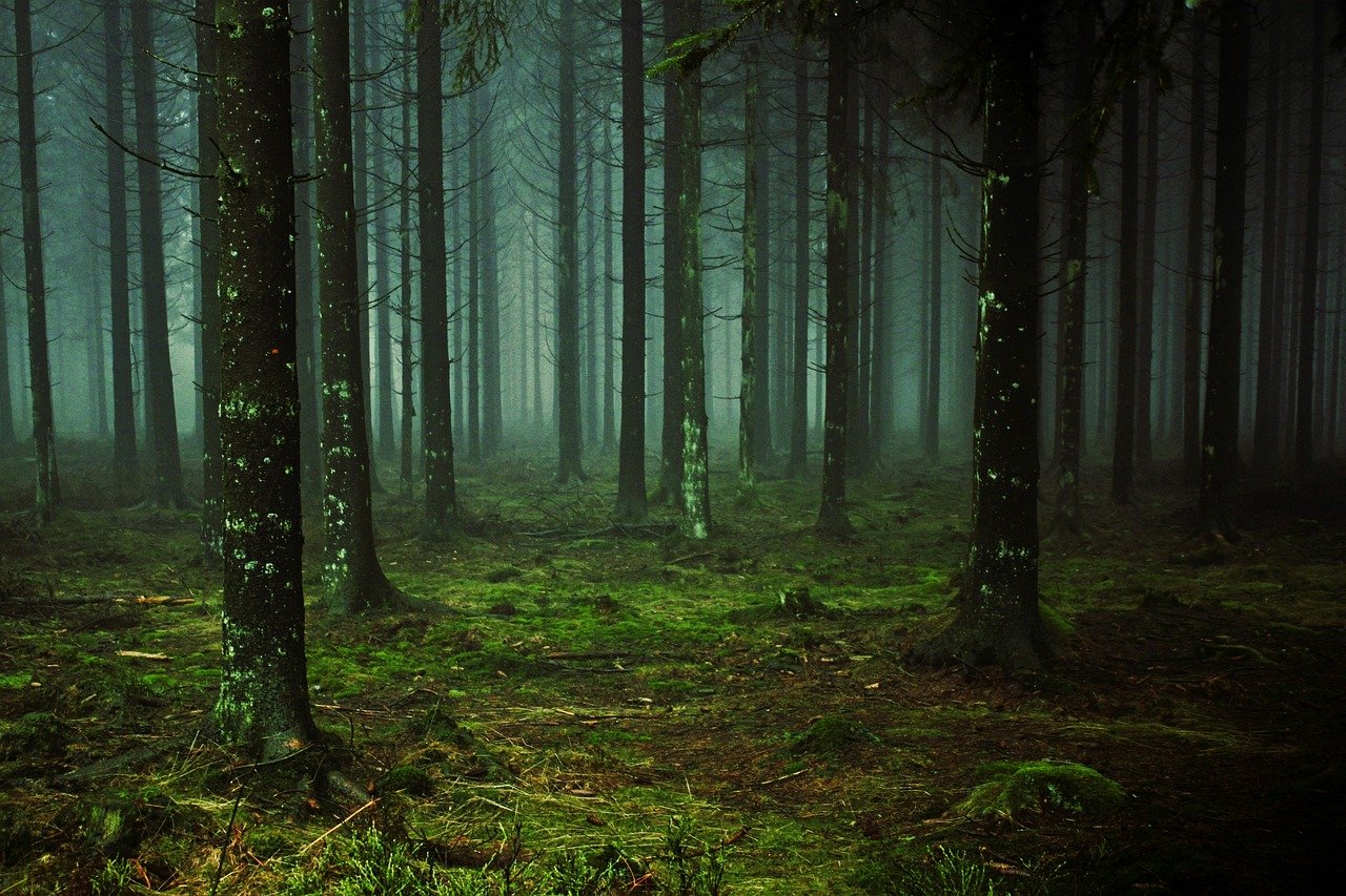 Forests Emitting Low-Frequency Energy