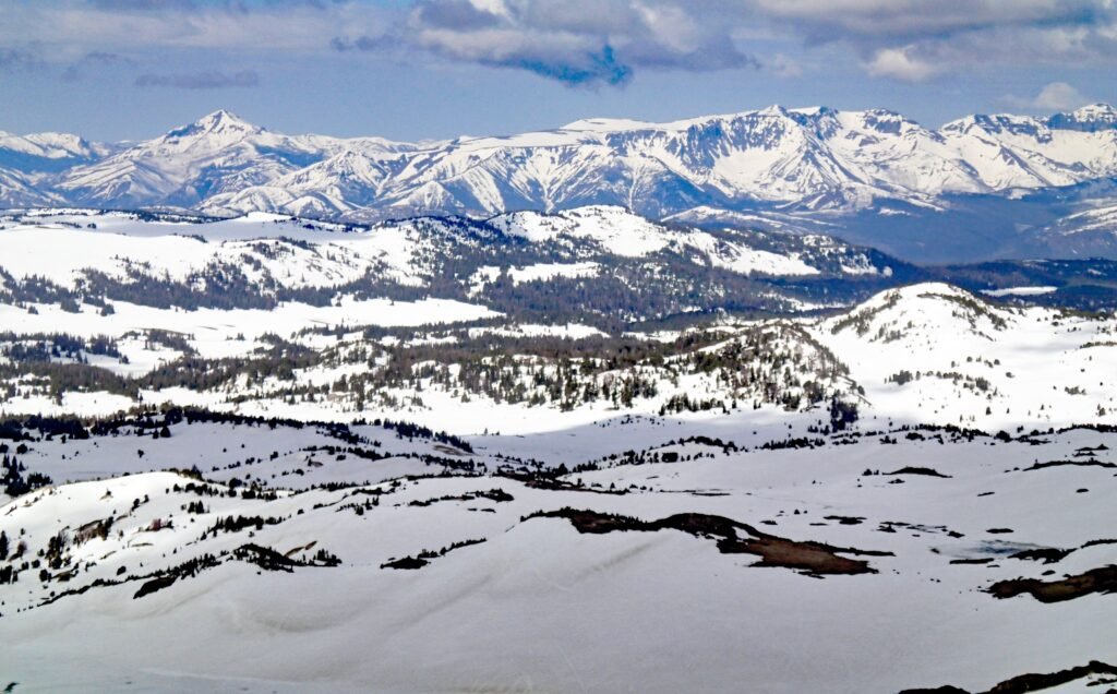 The Ancient Forests Hidden Beneath Modern Ice Sheets