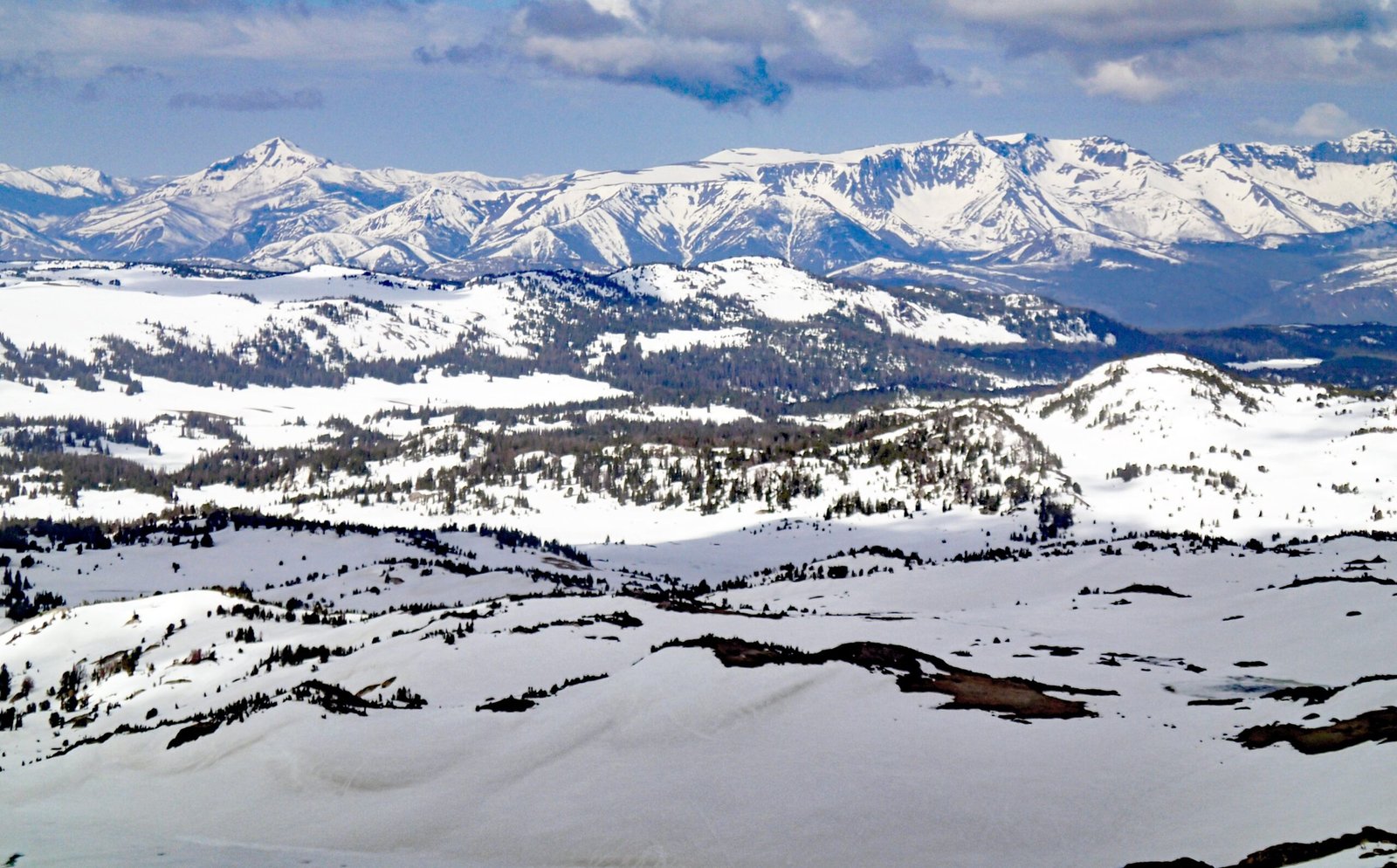 The Ancient Forests Hidden Beneath Modern Ice Sheets