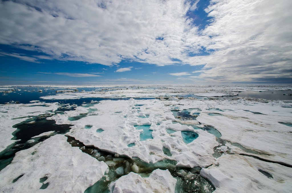 How Sea Ice Melts Create Massive Hidden Ecosystems
