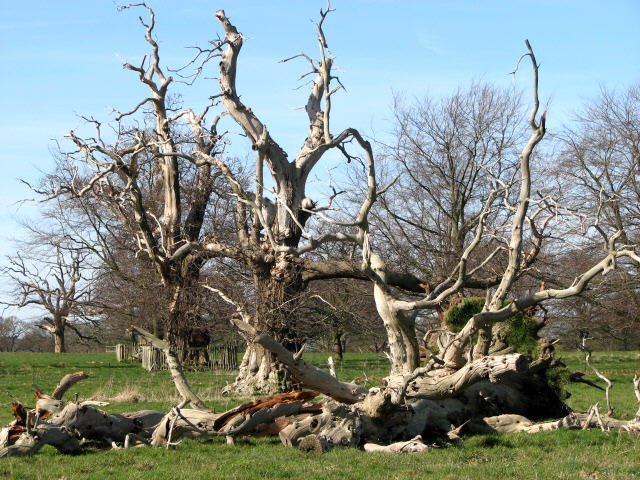 The Earth's Oldest Living Organisms - and What They Teach Us