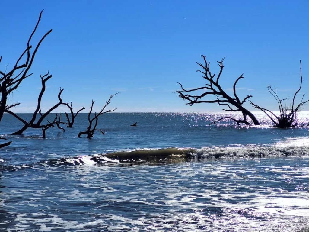 Why The Pacific Ocean Is Rising Faster Than Predicted