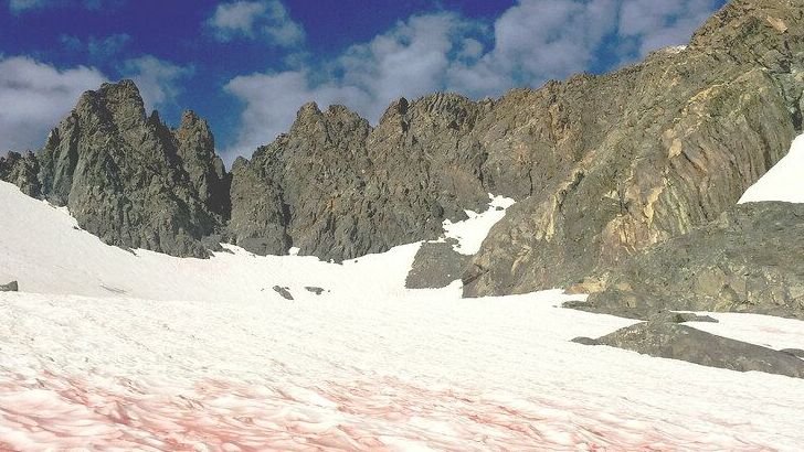 The Mysterious "Blood Snow" Phenomenon Appearing on Glaciers