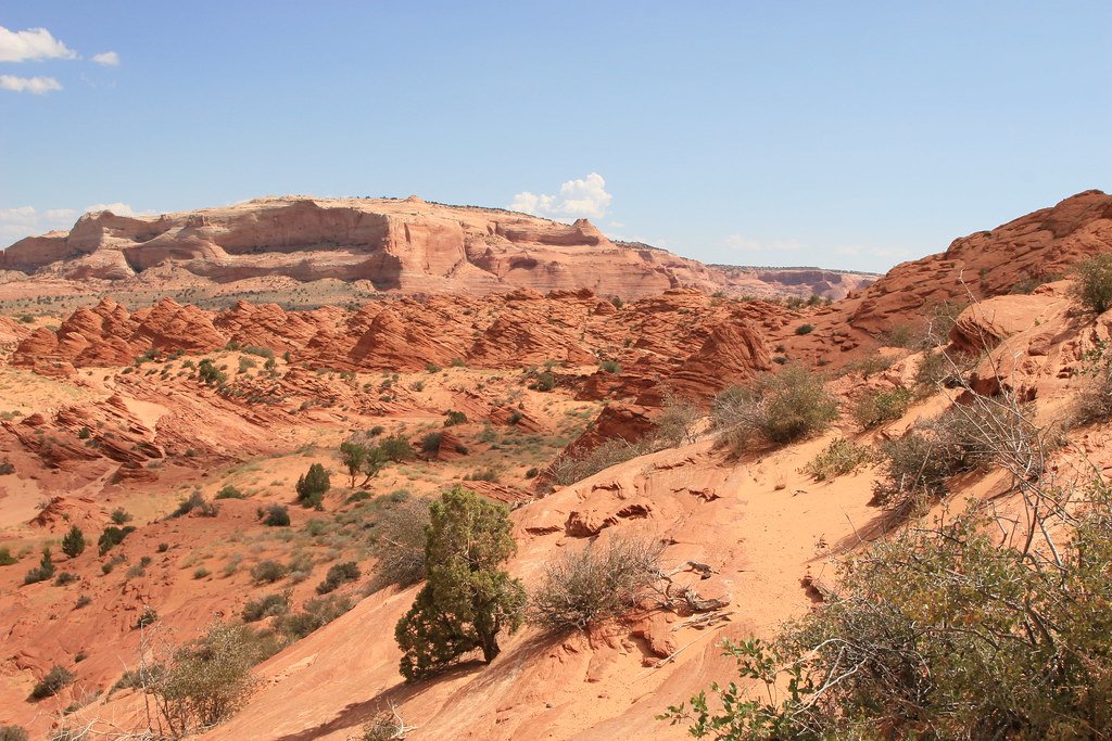 The U.S. Desert That Was Once an Ancient Ocean
