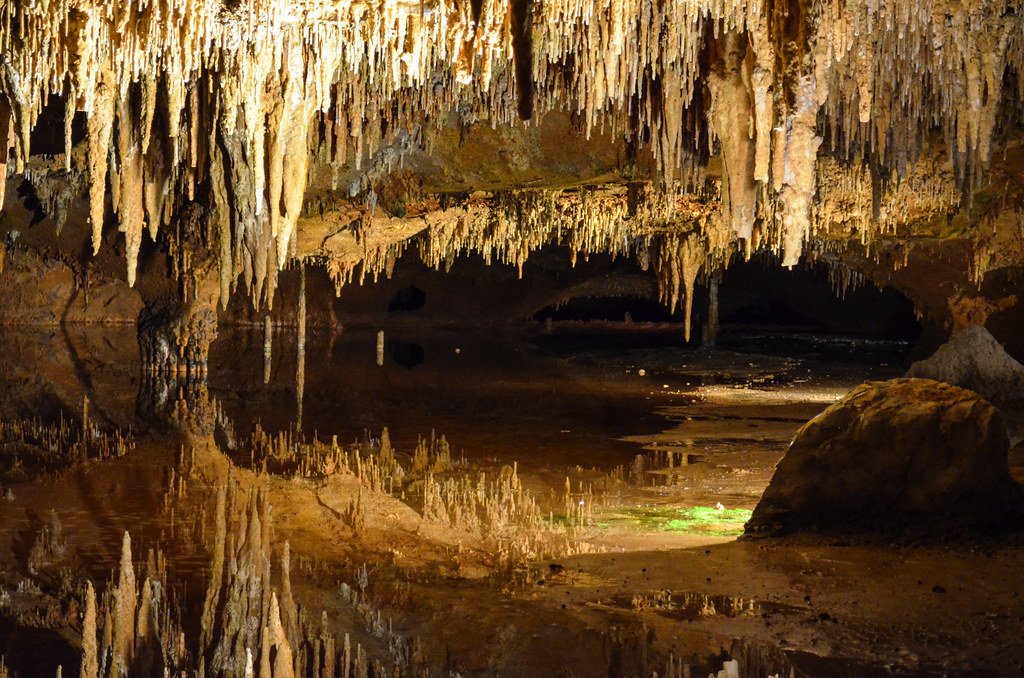 America's Hidden Caves Still Contain Ancient Ecosystems