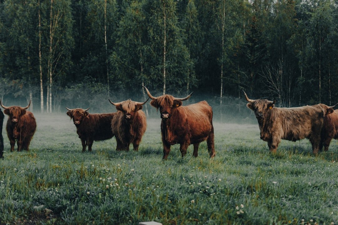 Which Zodiac Signs Reflect the Balance of Predator and Prey?