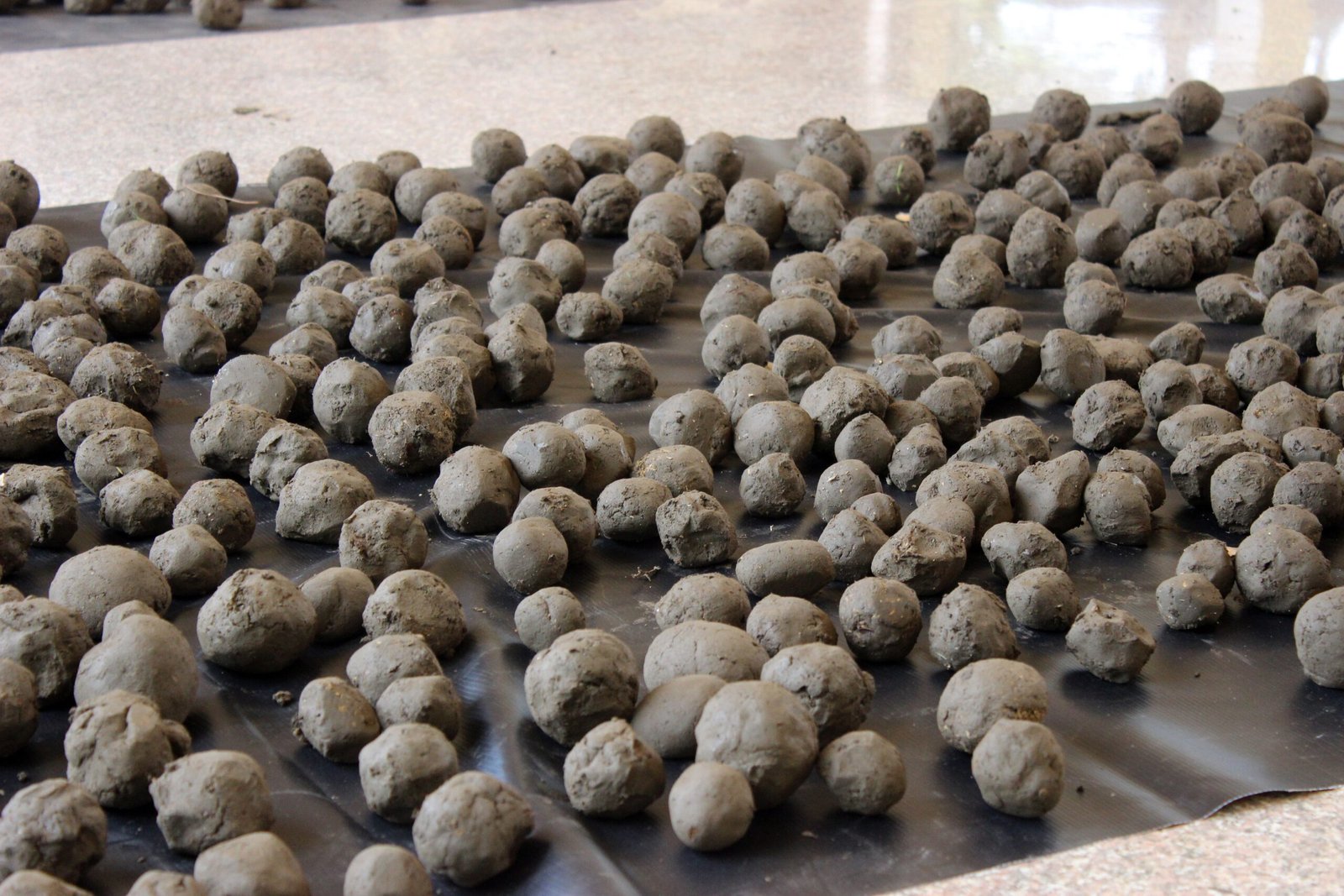 The Rain That Falls as Stones – The Mystery of Rock Hail