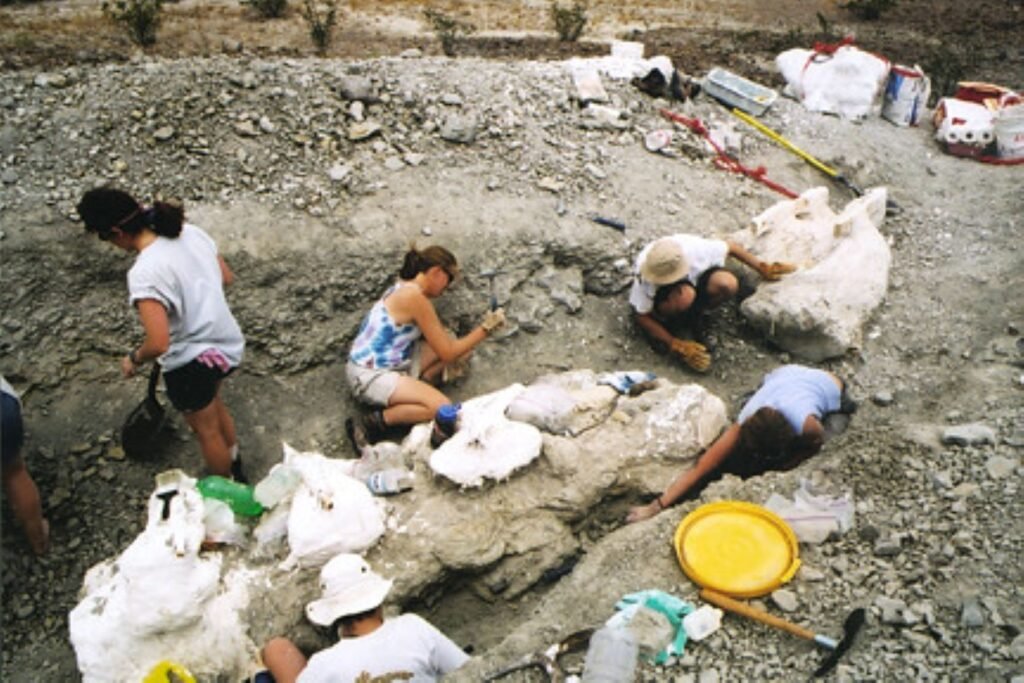 Thunderstorm Ridge Emerges as a Fossil Goldmine 