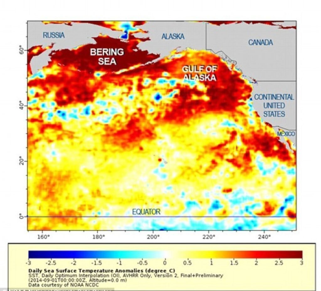 The Perfect Storm Hits California Waters