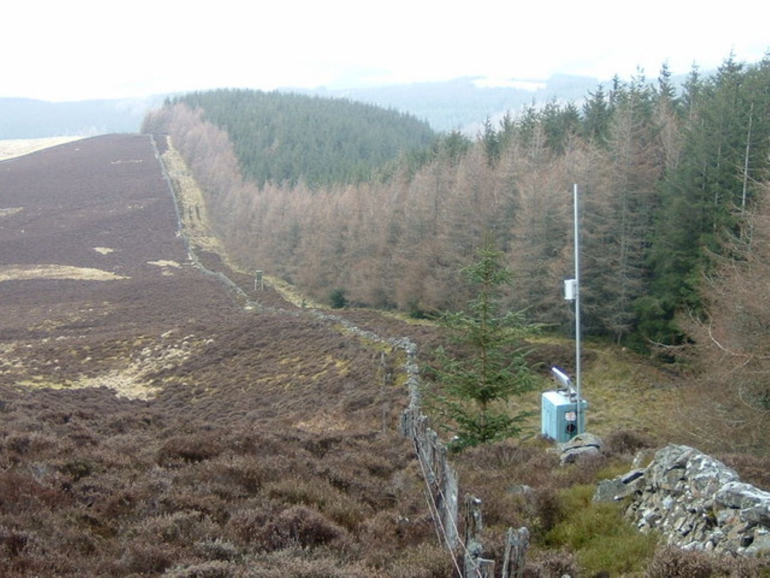 Real-World Applications in Forest Monitoring