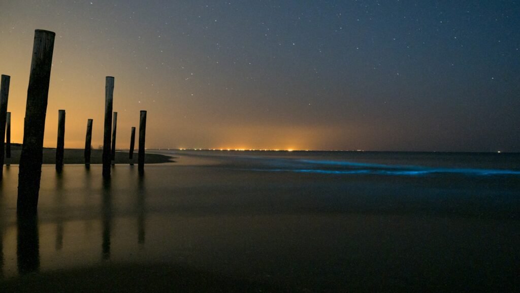 silhouette of dock on sea during sunset