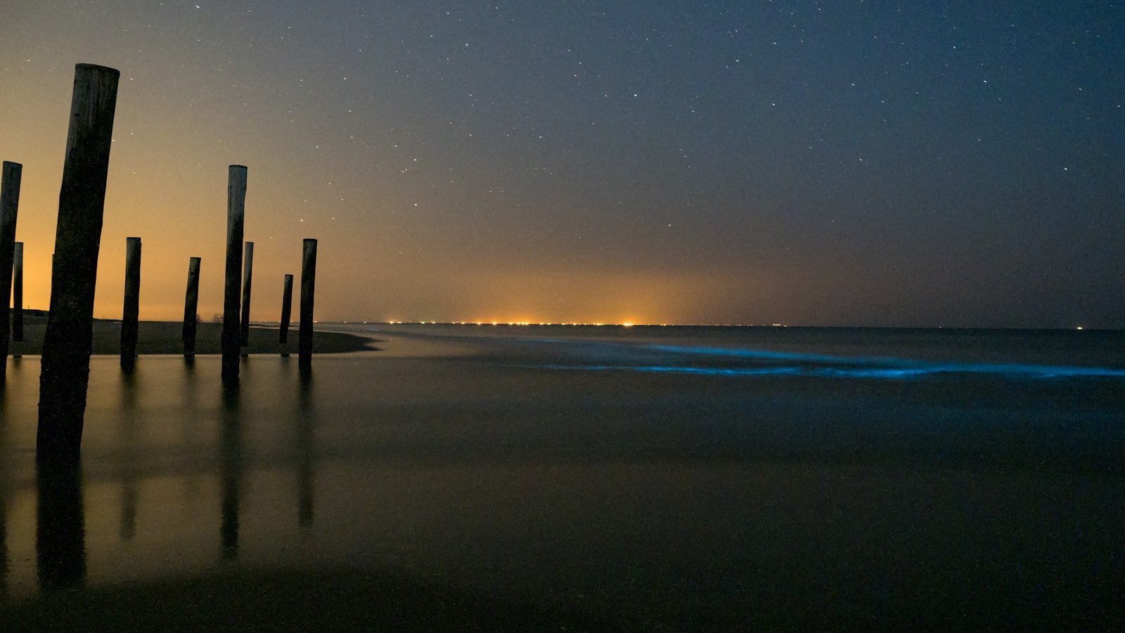 North Carolina’s Coast Glows Blue Under a New Moon