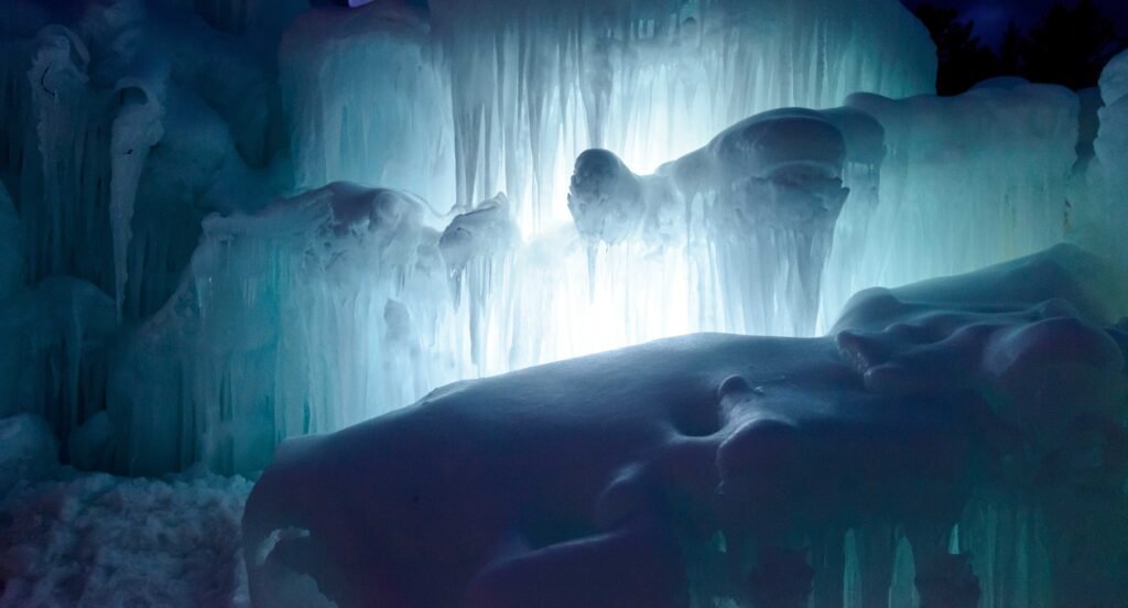 Hidden Ecosystems in Subglacial Lakes