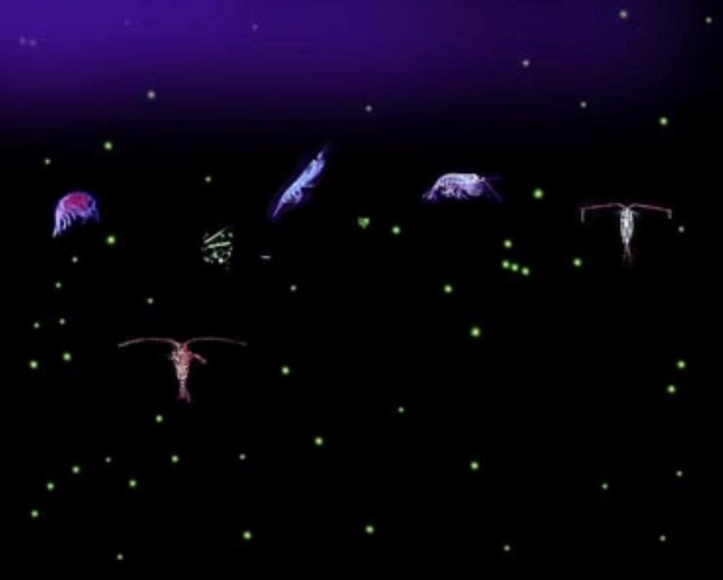 The Aquarius Innovation: Dinoflagellate