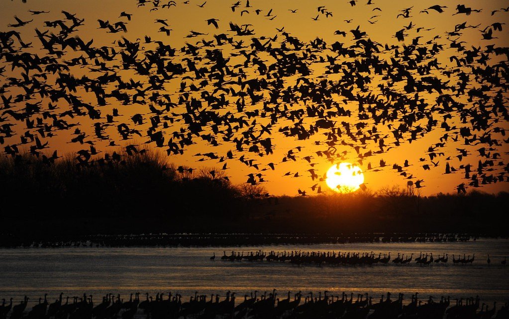 Sunrise and Sunset Spectacles