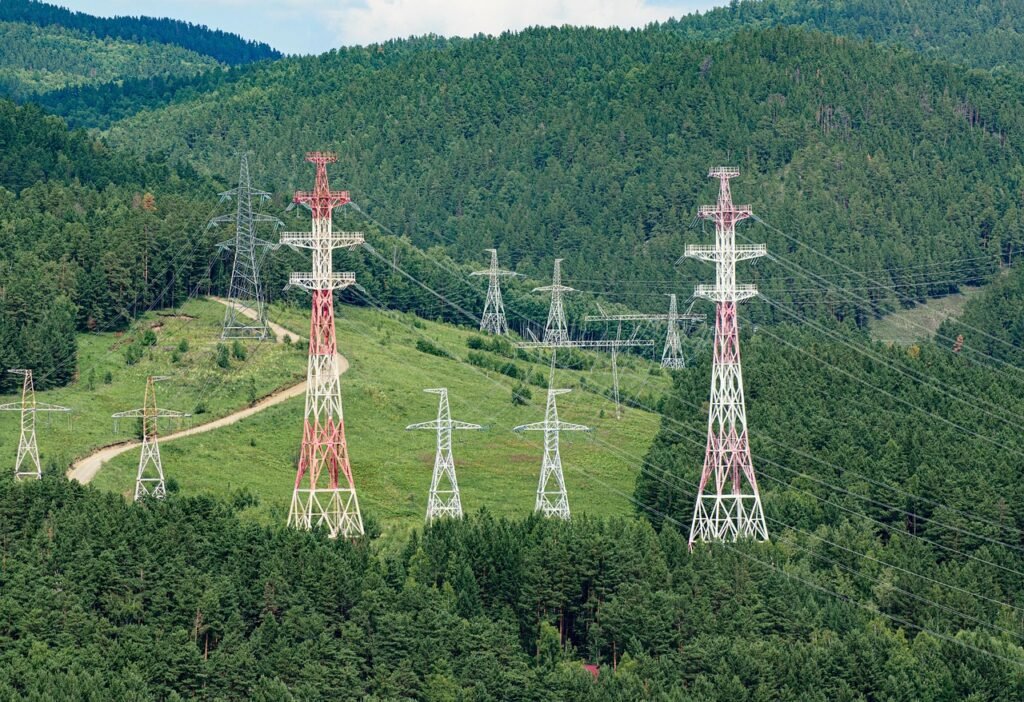 These Forests Hum With Natural Electricity