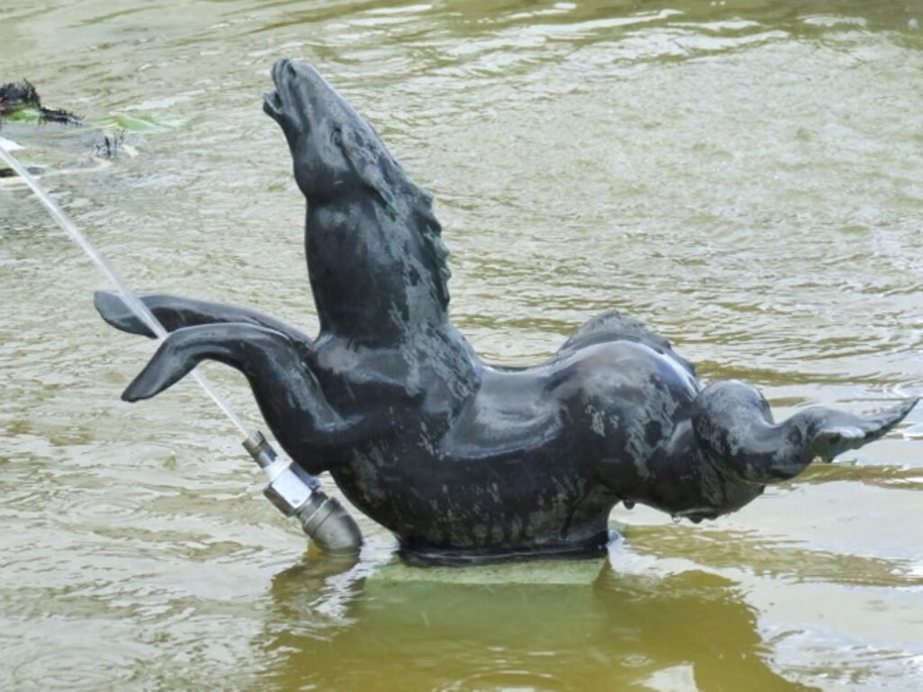 Cancer - The Kelpie