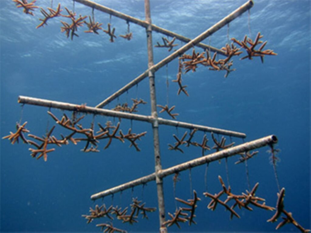 Comprehensive Monitoring Reveals Ecosystem Recovery Patterns
