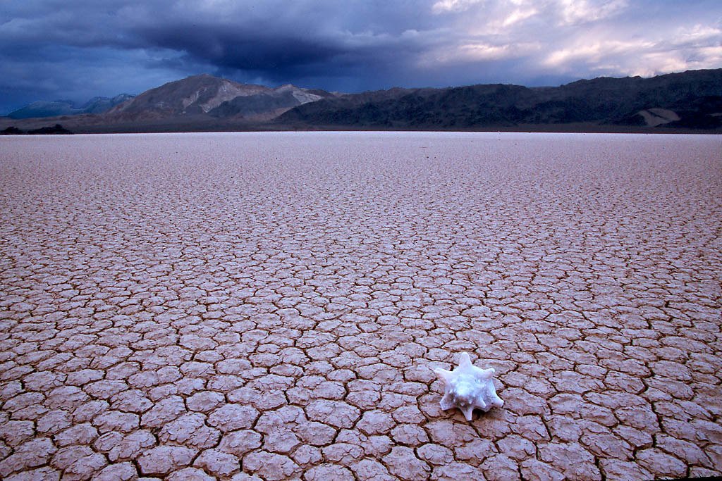 Human Errors That Swallow Lakes
