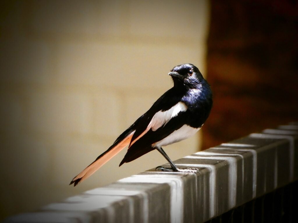 a small bird sitting on top of a radiator