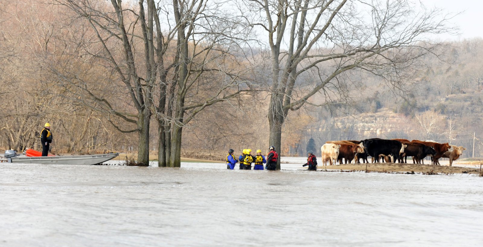The Zodiac Signs Most Likely to Volunteer for Wildlife Rescue