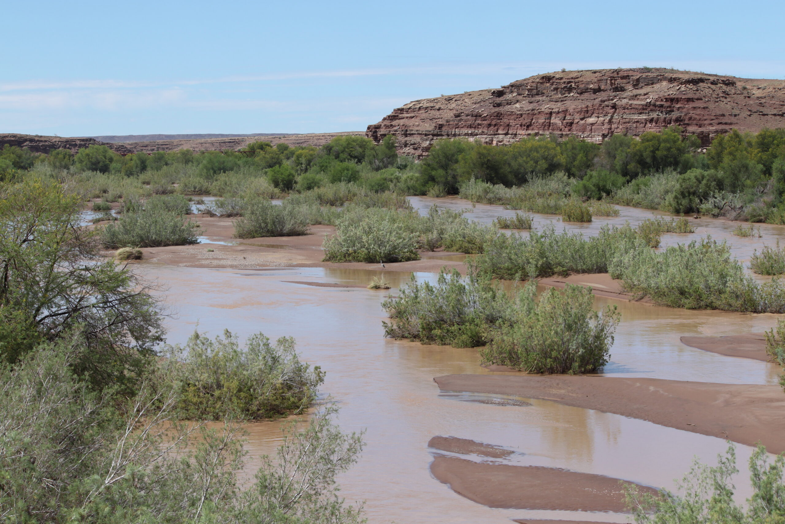 7 American Rivers Turning Warmer – Fish on the Move