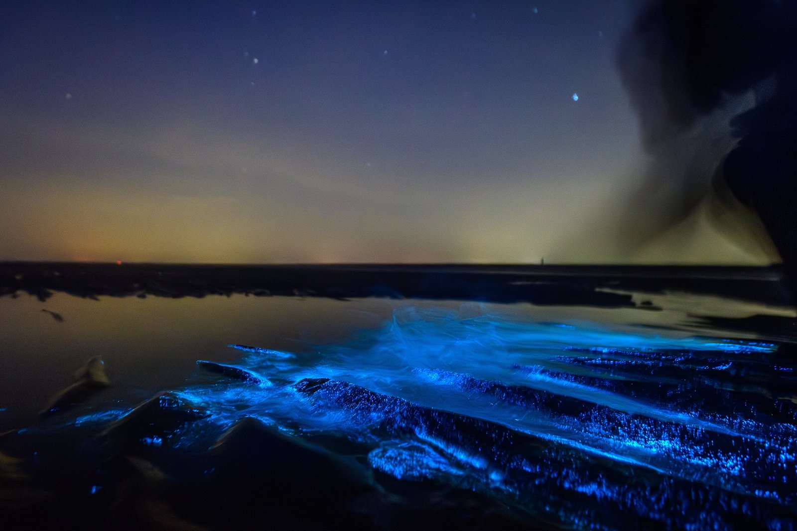 Satellites Detect Glowing Oceans From Orbit